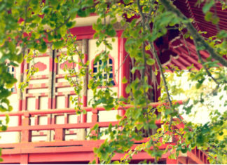 Mini giardino giapponese 700 0 026_Mini giardino giapponese_ok